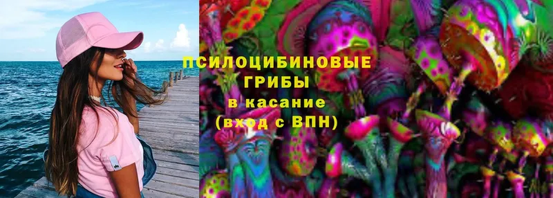 Галлюциногенные грибы Magic Shrooms  дарнет шоп  Каргополь 